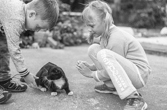 Young boy and girl playing with their cat