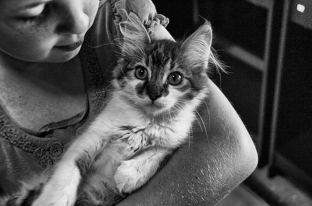 Young girl holding cat