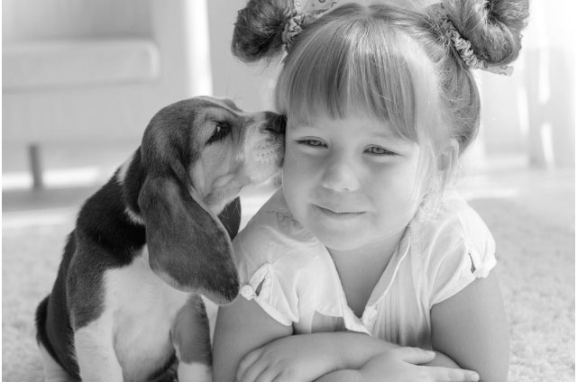 Young puppy kissing a young girl